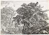 JACOB VAN RUISDAEL Two etchings.